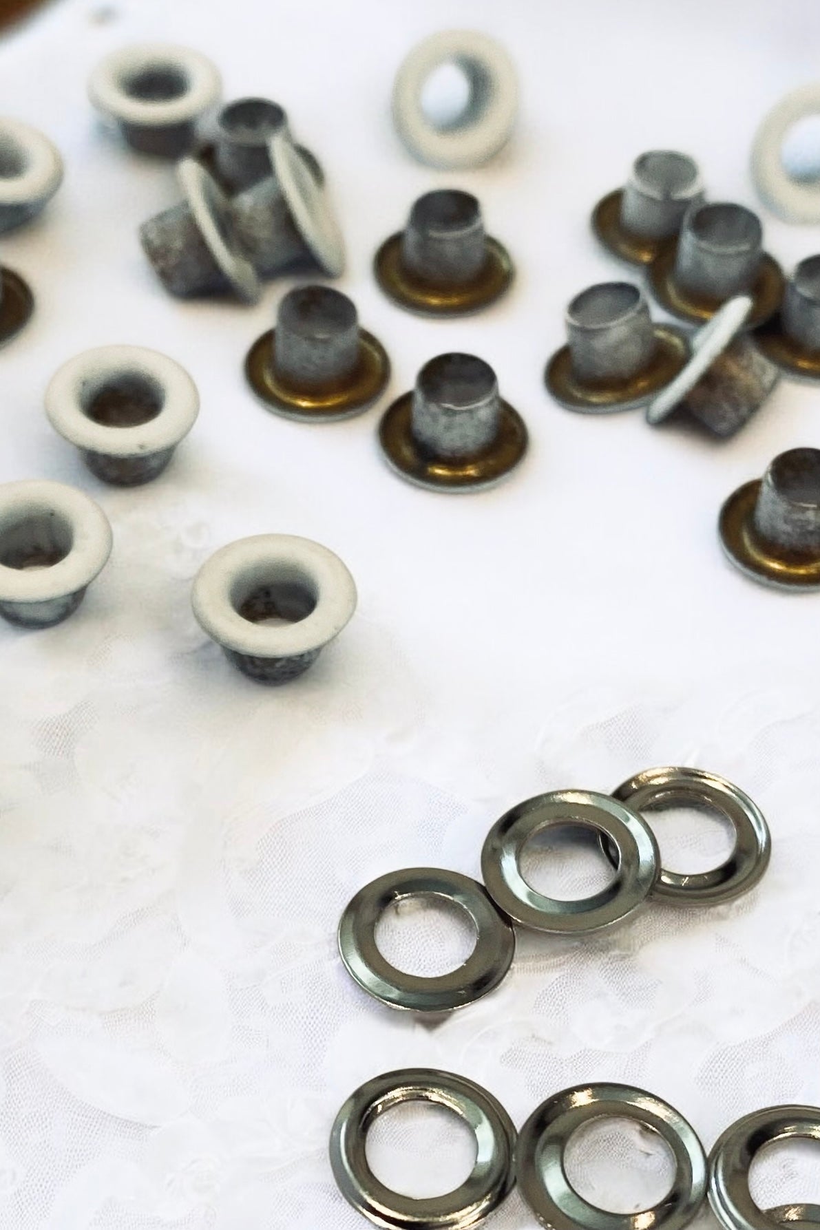 Coloured Eyelets with Washers 4mm - Prym - The Stitch Parlour