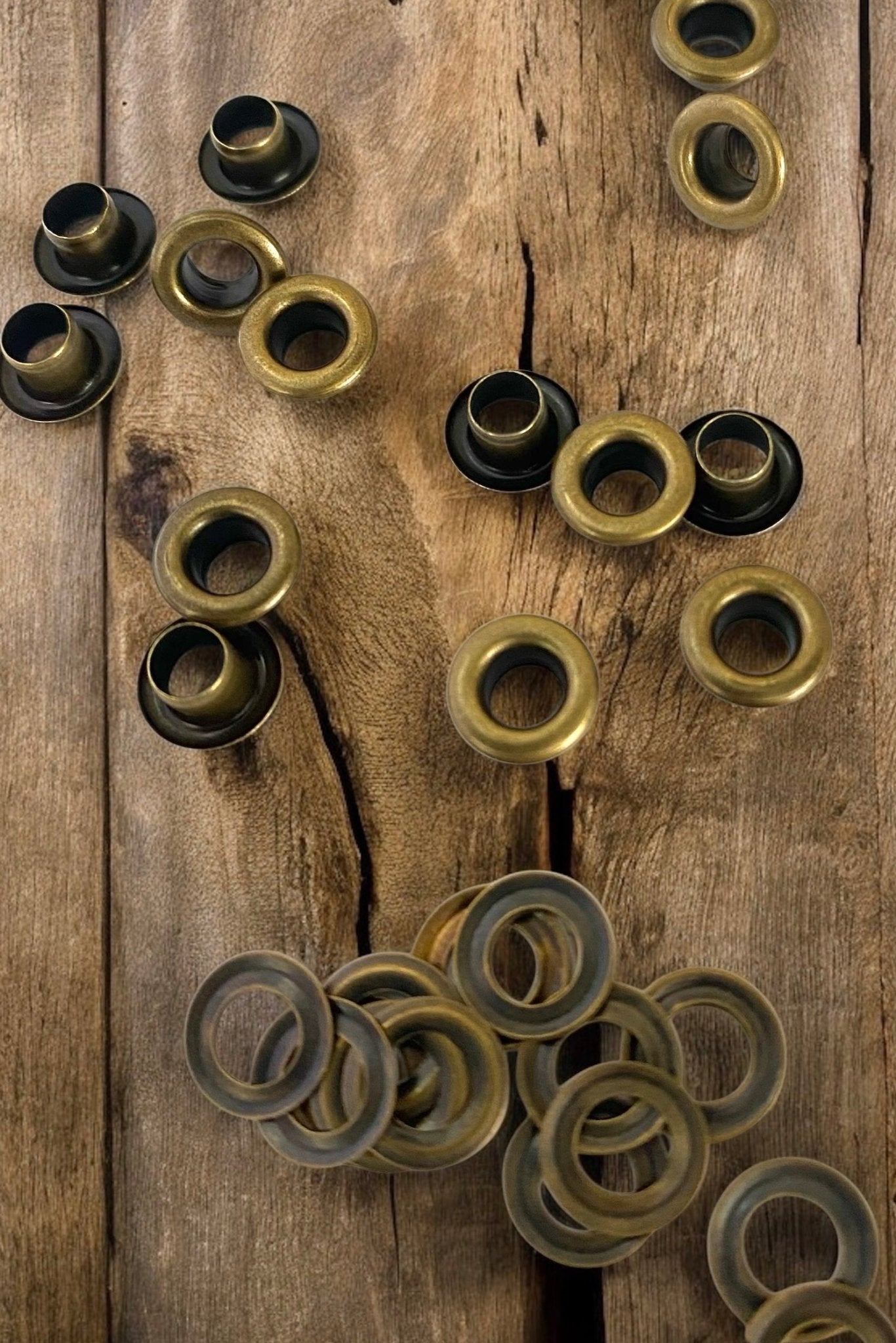 Coloured Eyelets with Washers 4mm - Prym - The Stitch Parlour